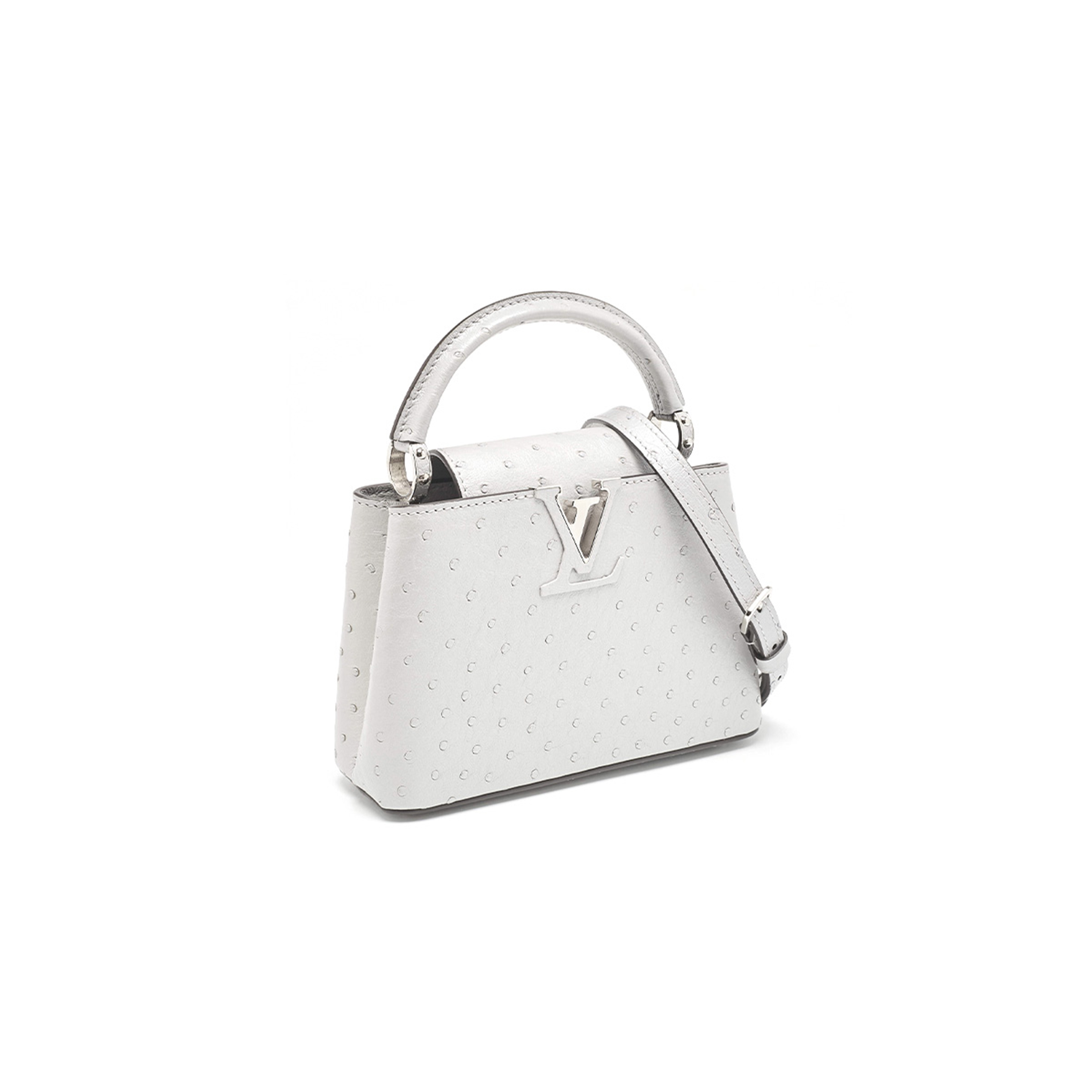 LOUIS VUITTON CAPUCINES MINI BAG N83924 (21*14*8cm)